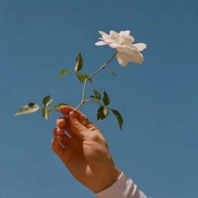 幻想仙灵官方版下载
